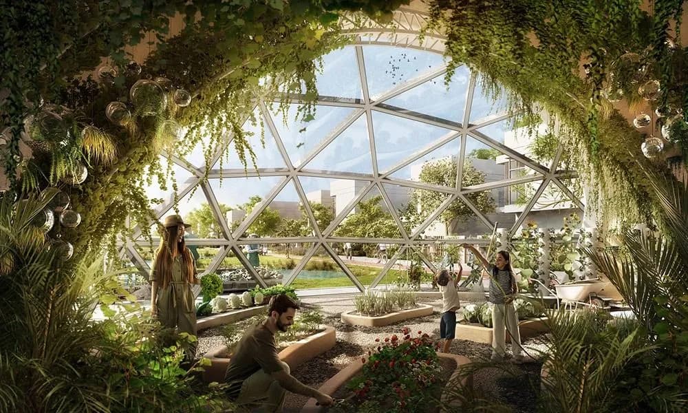 The Sustainable City