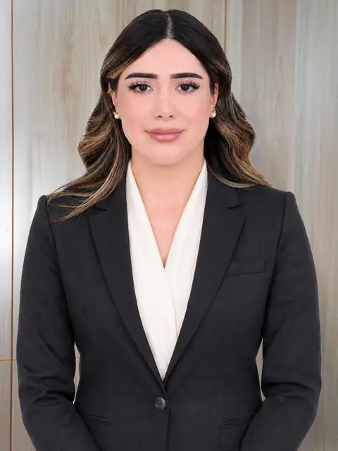 صورة المستشار